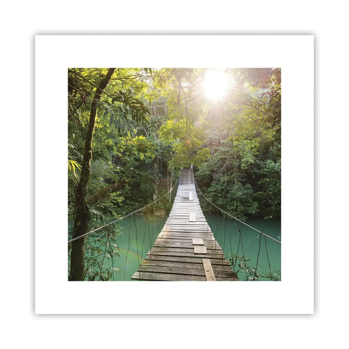 Affiche - Poster - De l'eau azur à la forêt azur - 30x30 cm