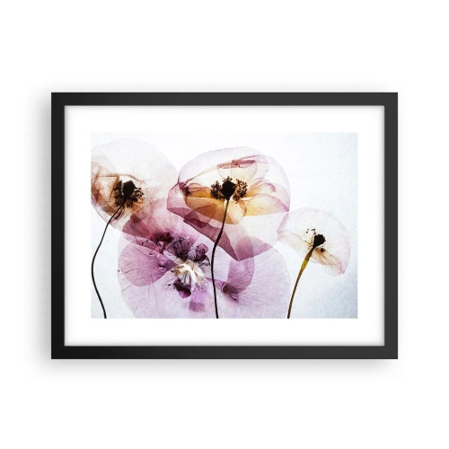 Affiche dans un cadre noir - Poster - Corps de fleurs transparente - 40x30 cm