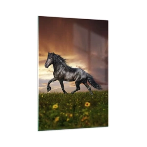 Impression sur verre - Image sur verre - Un cheval noir galopant contre le soleil couchant - 70x100cm - Livres noirs - Décoration murale moderne pour le salon et la chambre ARTTOR