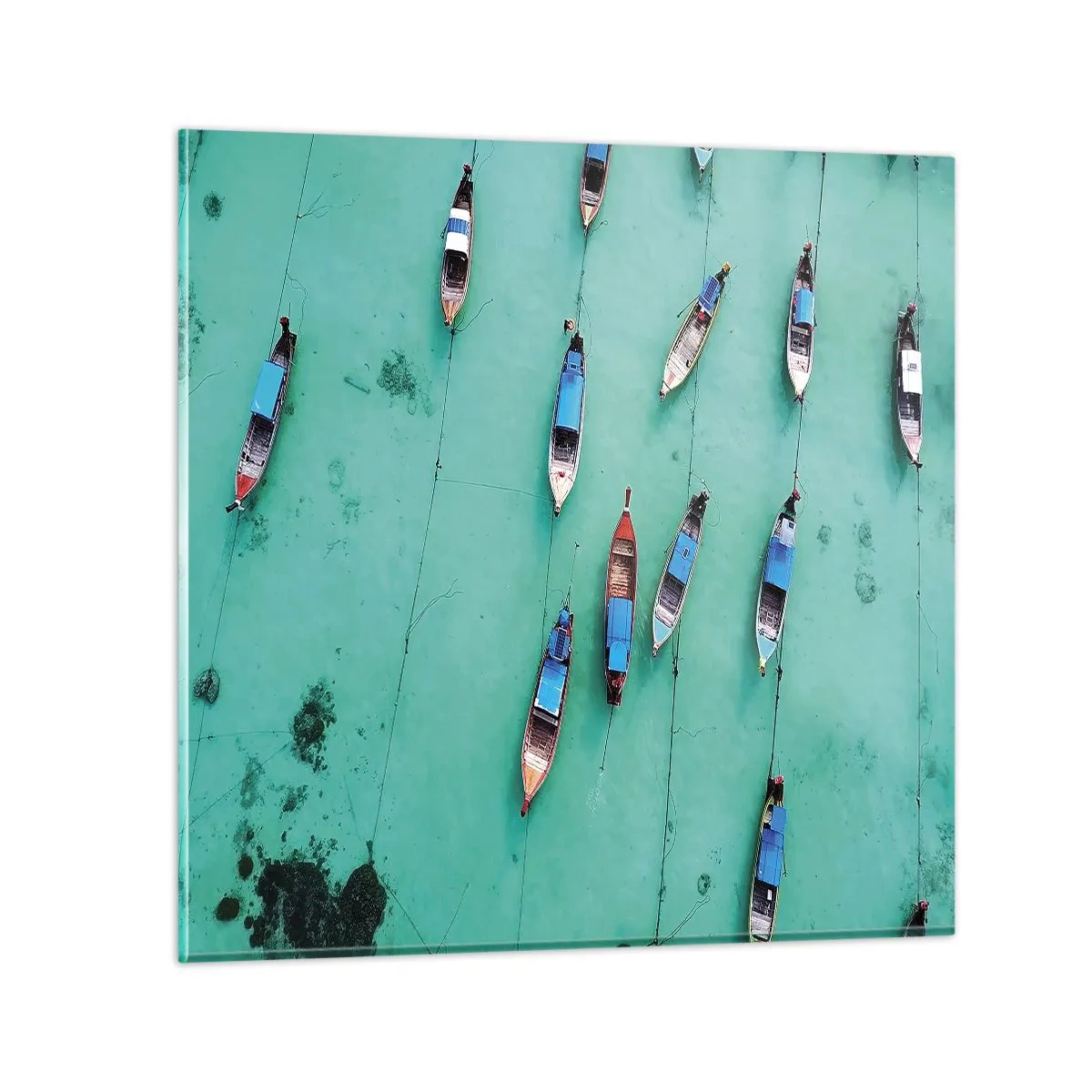 Impression sur verre - Image sur verre - Dans une attente jouyeuse - 50x50 cm