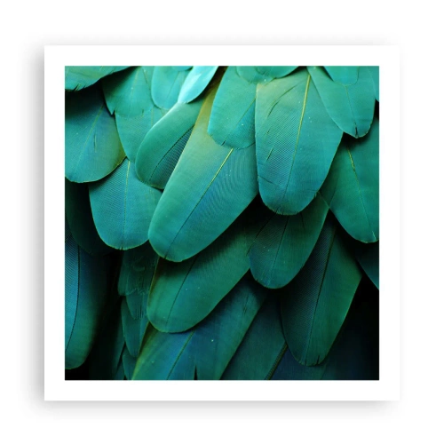 Affiche - Poster - Perfection de la nature du perroquet - 60x60 cm