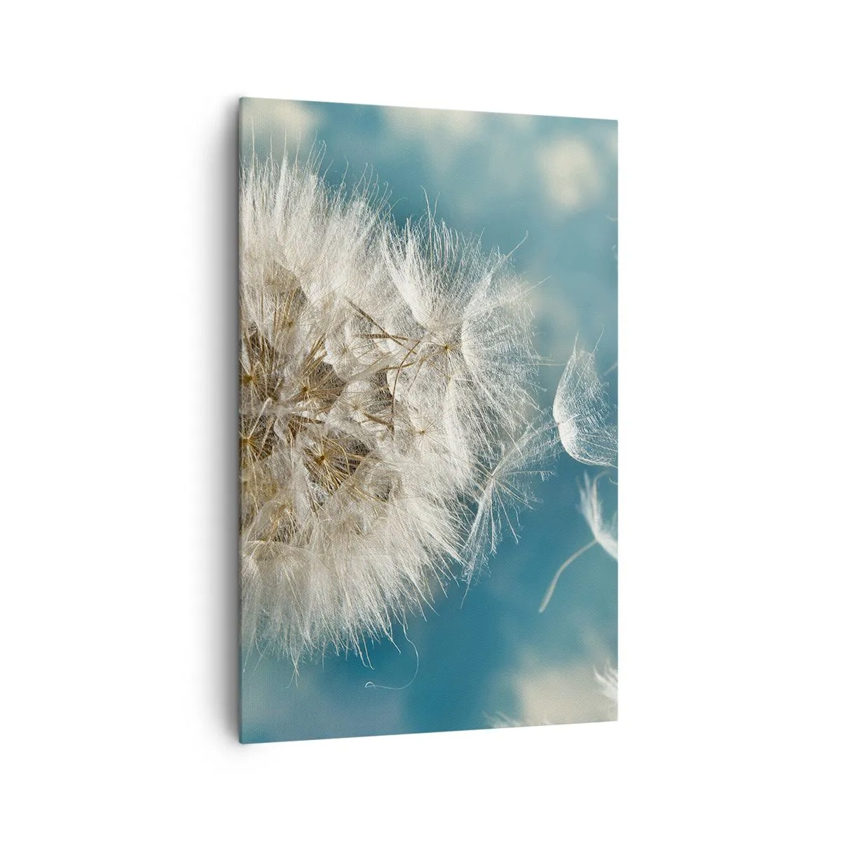 Impression sur toile - Image sur toile - Un pissenlit soufflé contre un ciel bleu - 80x120cm - souffle d'ange - Décoration murale moderne pour le salon et la chambre ARTTOR