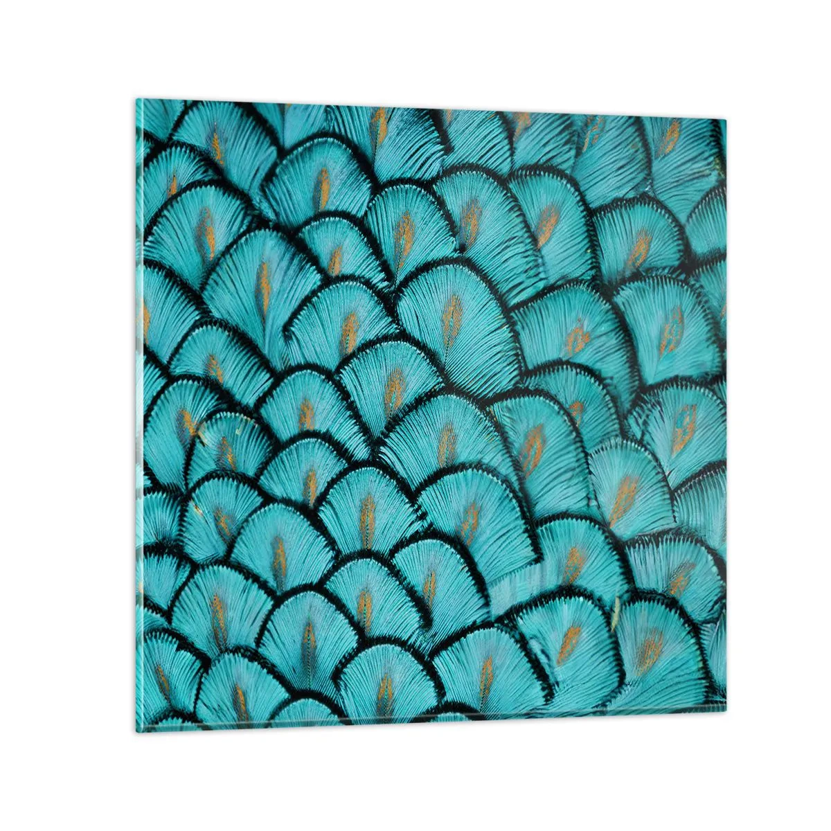 Impression sur verre - Image sur verre - Le grand gala des plumes - 40x40 cm