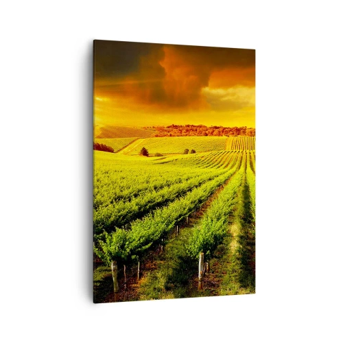 Impression sur toile - Image sur toile - Des vignes dorées illuminées par les rayons du soleil - 70x100cm - Sous le soleil australien - Décoration murale moderne pour le salon et la chambre ARTTOR