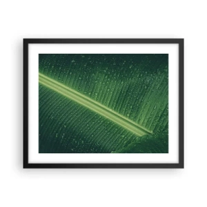 Affiche dans un cadre noir - Poster - Structure de vert - 50x40 cm