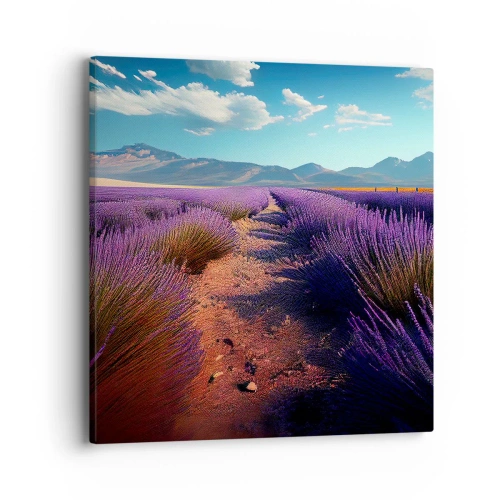 Impression sur toile - Image sur toile - Champs parfumés - 40x40 cm