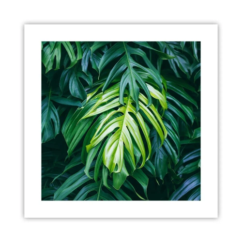 Affiche - Poster - Immergez-vous dans la fraîcheur - 40x40 cm