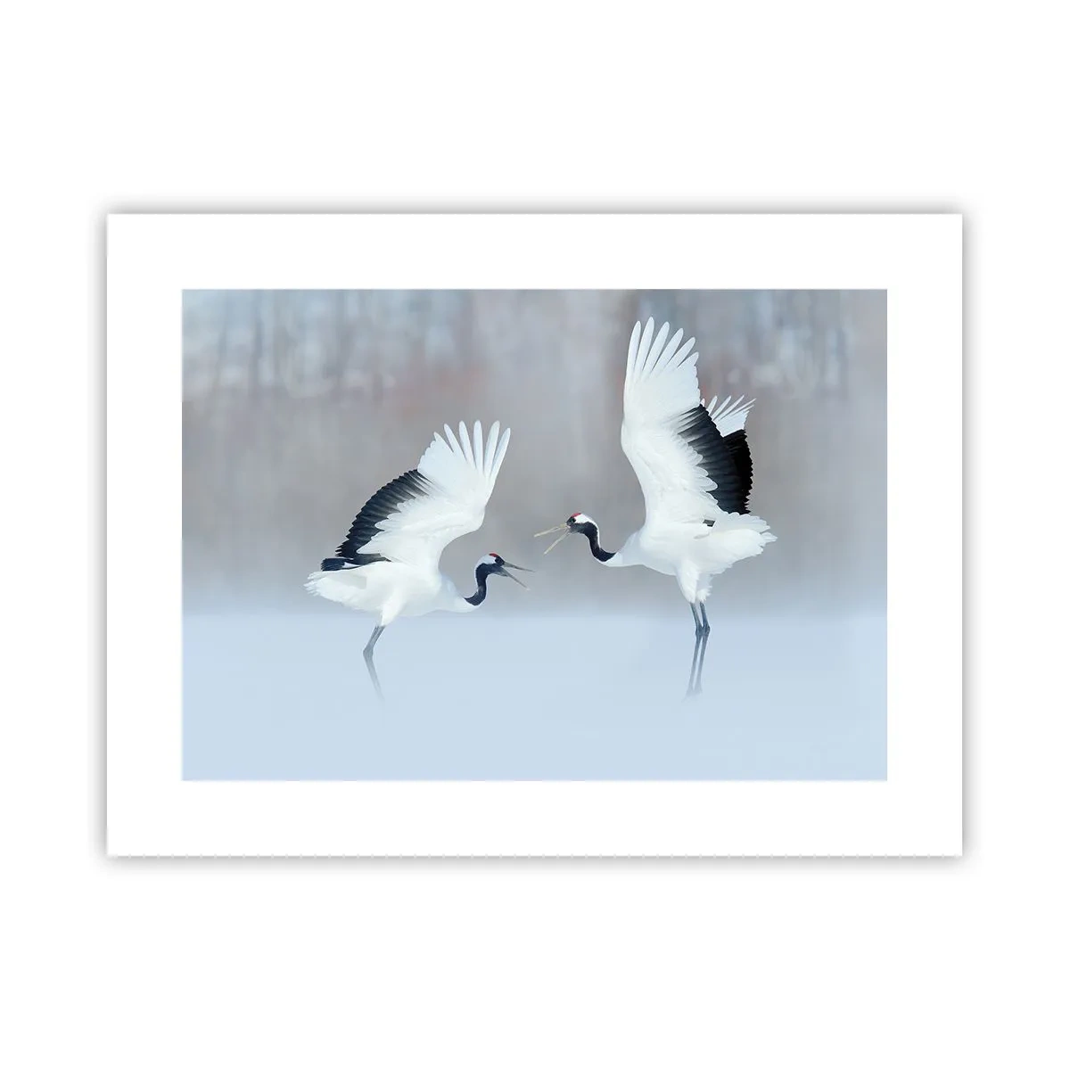 Affiche - Poster - Danse dans le brouillard - 40x30 cm