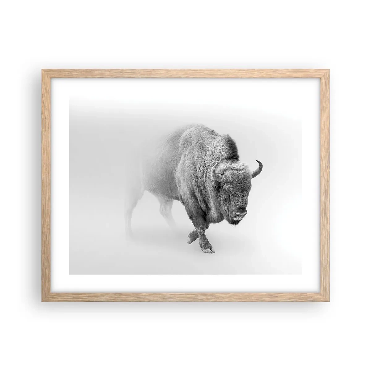 Affiche dans un chêne clair - Poster - Roi de la prairie - 50x40 cm