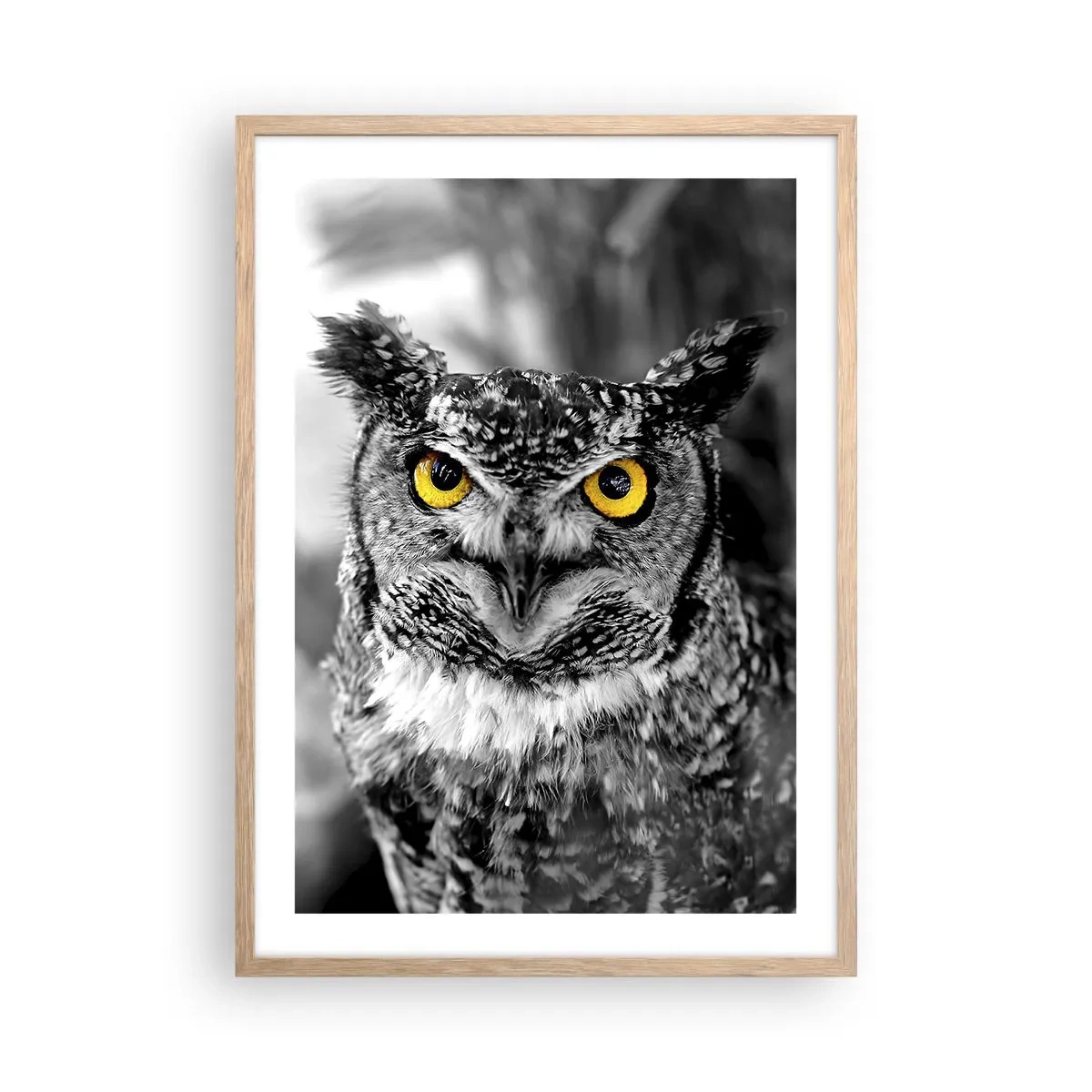 Affiche dans un chêne clair - Poster - Rien ne se cachera - 50x70 cm