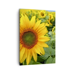 Impression sur toile - Image sur toile - Un champ de tournesols aux fleurs jaunes sur fond de feuilles vertes - 50x70cm - Des centaines de soleils se sont embrasés - Décoration murale moderne pour le salon et la chambre ARTTOR
