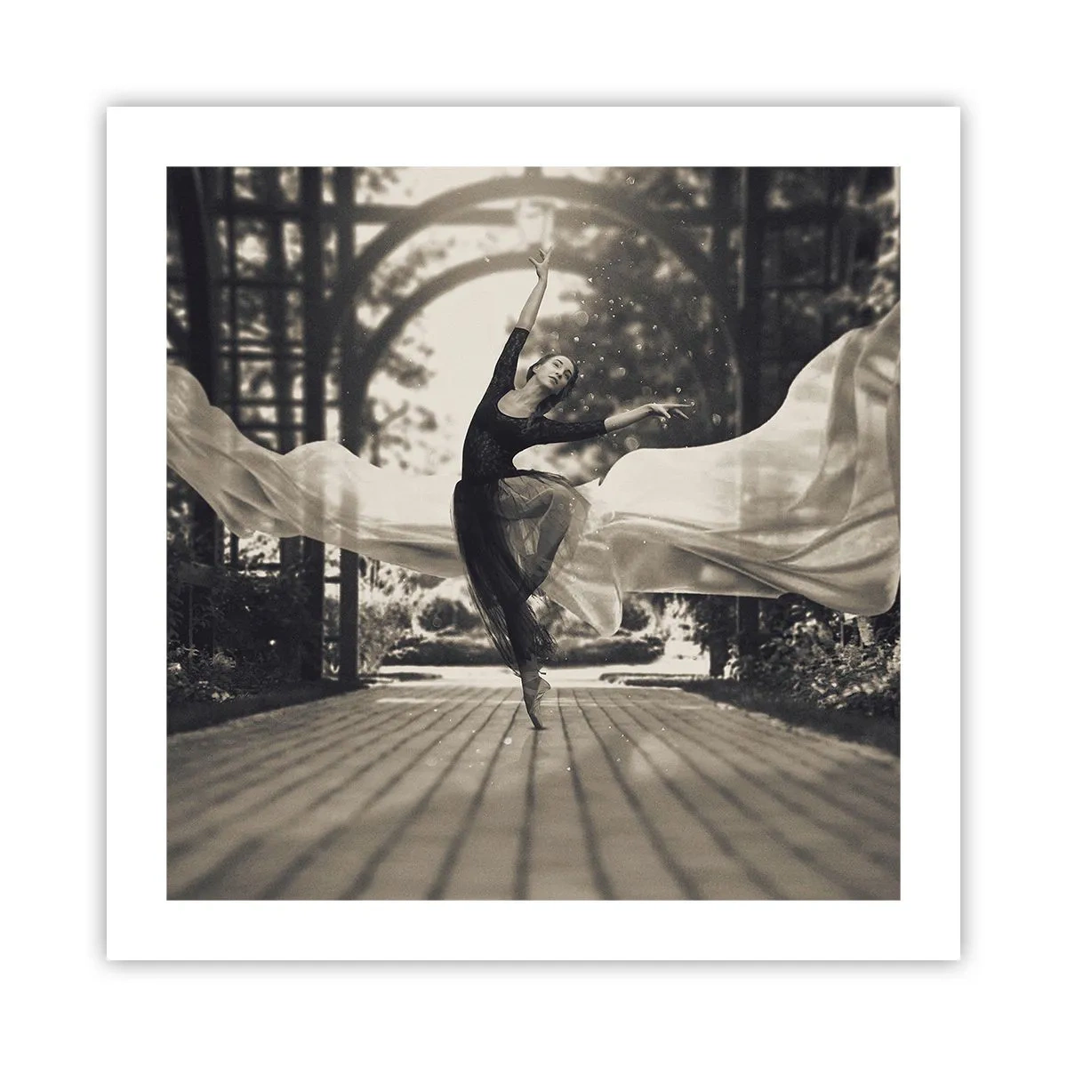 Affiche - Poster - La danse de l'esprit jardin - 50x50 cm