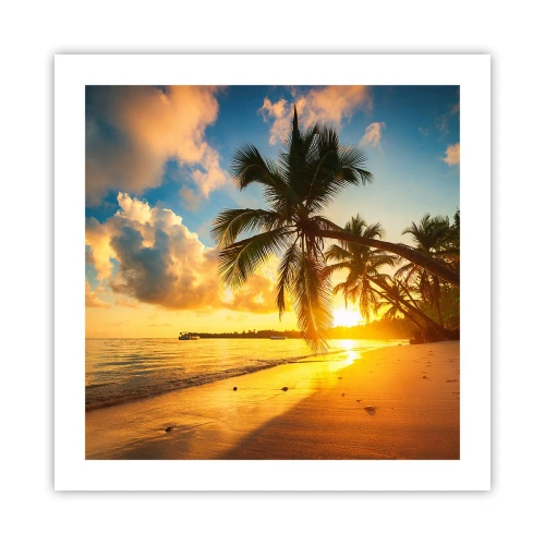 Affiche - Poster - Rêve caribéen - 50x50 cm