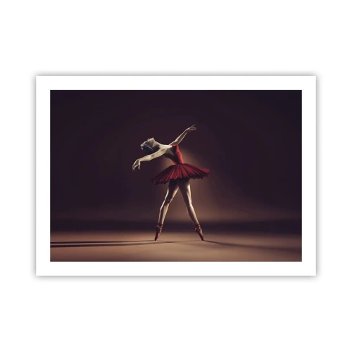 Affiche - Poster - Une danseuse étoile - 70x50 cm