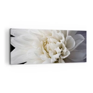 Impression sur toile - Image sur toile - Une délicate fleur blanche sur fond noir dans une composition élégante - 120x50cm - Le matin de la jeune mariéé - Décoration murale moderne pour le salon et la chambre ARTTOR