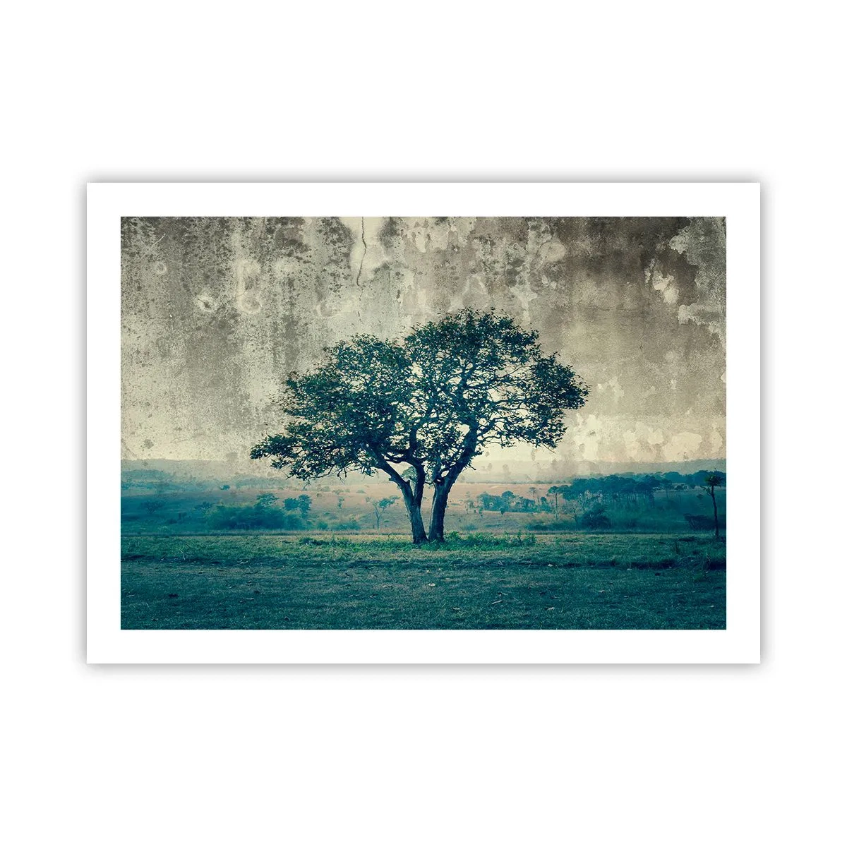 Affiche - Poster - Un pommier sur un champ bleu ? - 70x50 cm