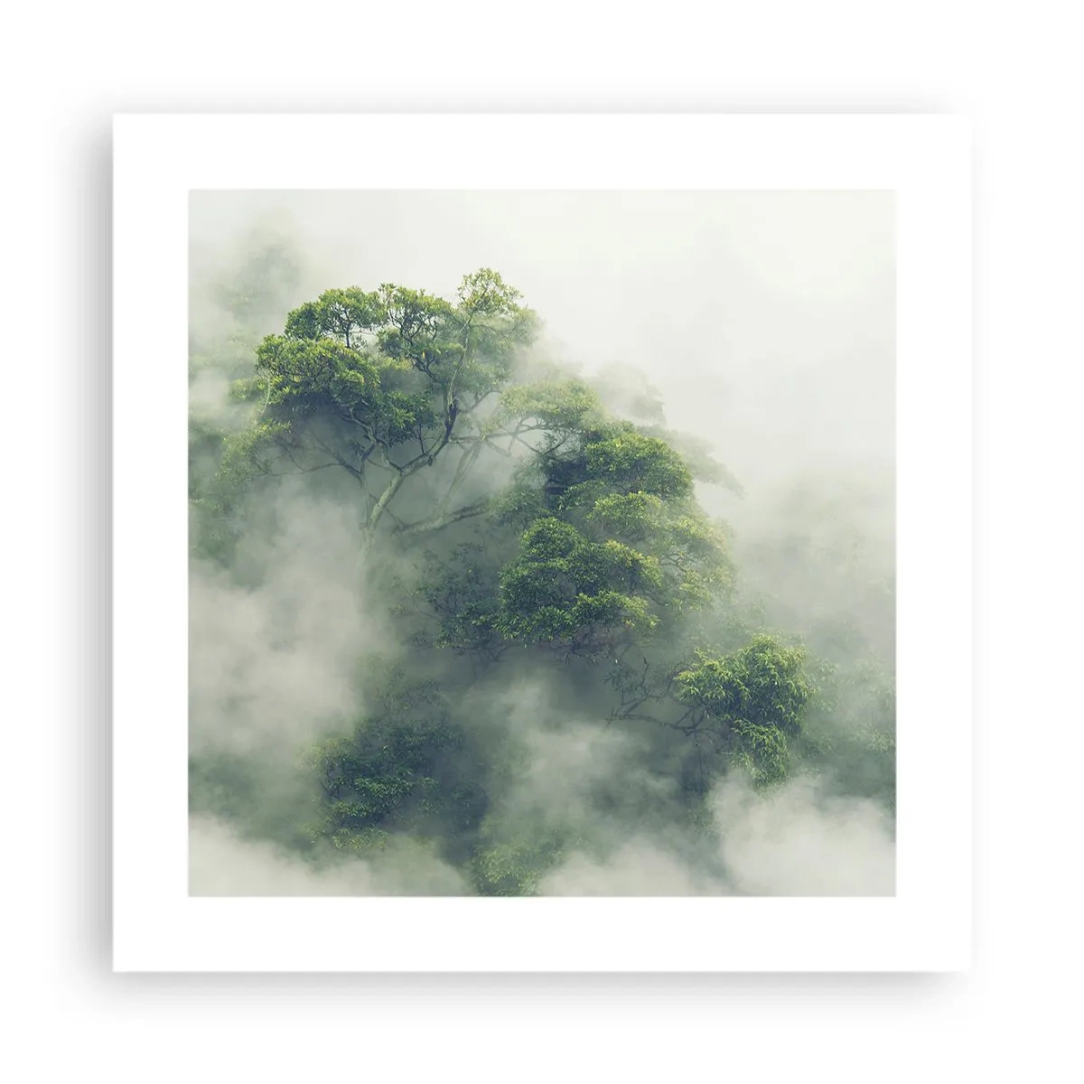 Affiche - Poster - Enveloppé de brouillard - 40x40 cm