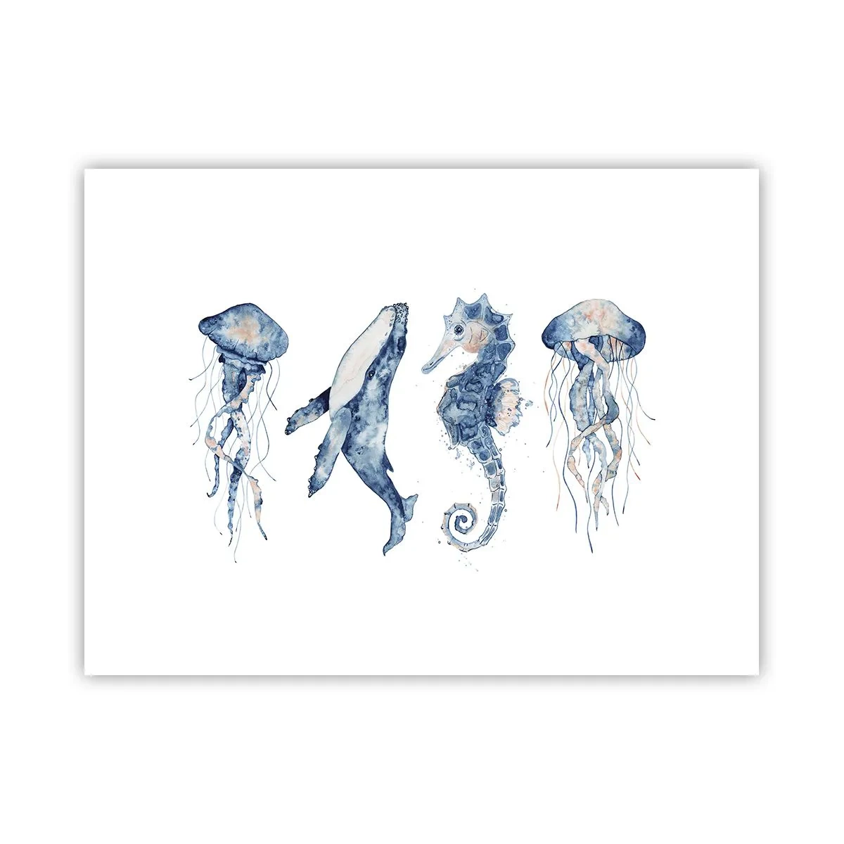 Affiche - Poster - Merveilles de la mer - 40x30 cm