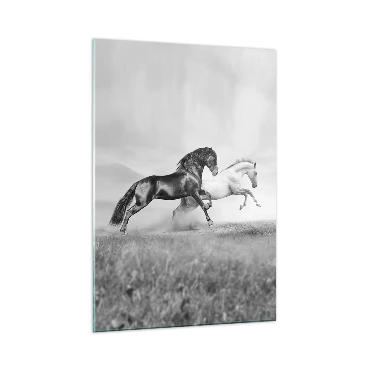 Impression sur verre - Image sur verre - Chevaux noirs et blancs dans un cadre dynamique - 50x70cm - Anges et démons - Décoration murale moderne pour le salon et la chambre ARTTOR