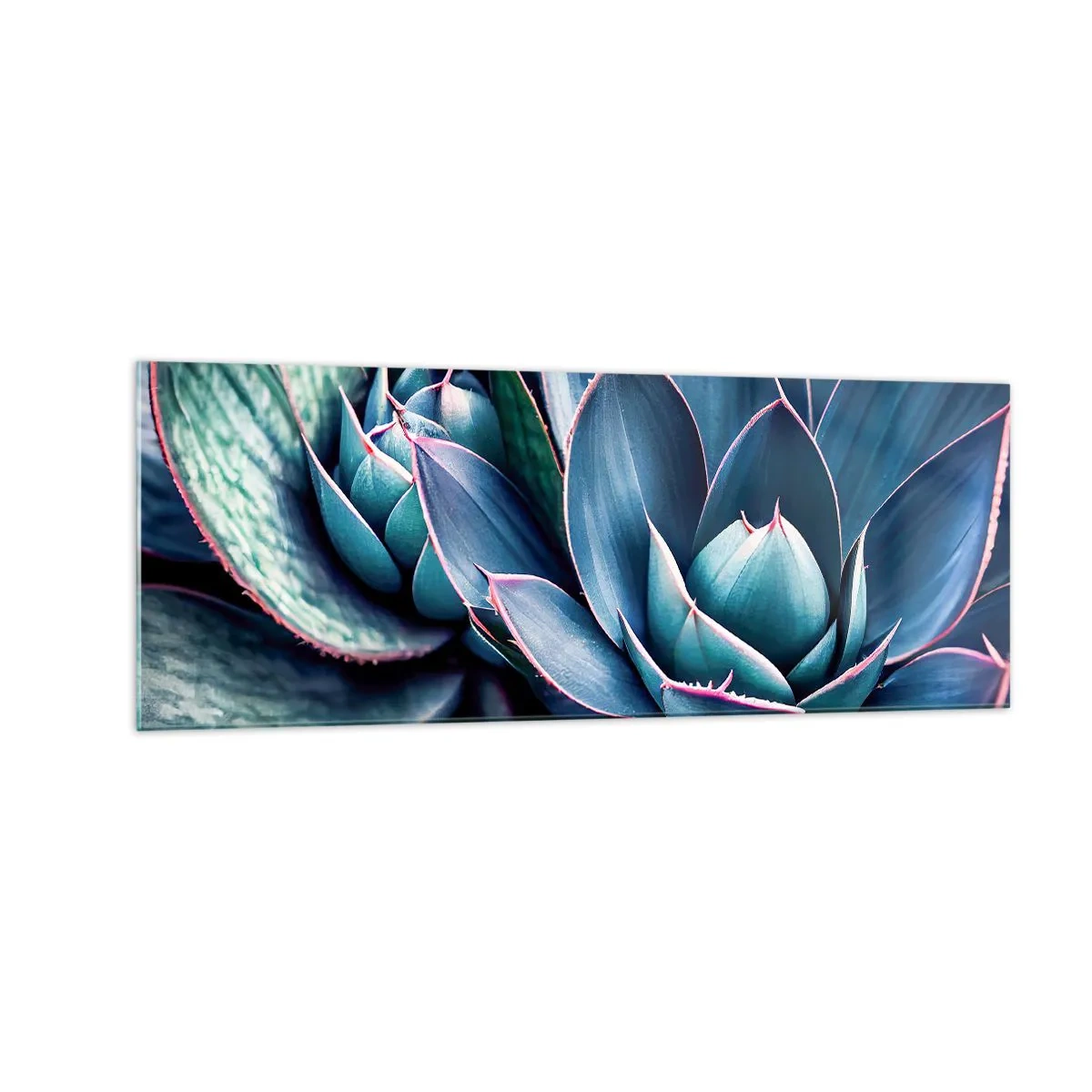 Impression sur verre - Image sur verre - Agave dans des tons de bleu et de vert avec des accents roses - 140x50cm - Force vital - Décoration murale moderne pour le salon et la chambre ARTTOR