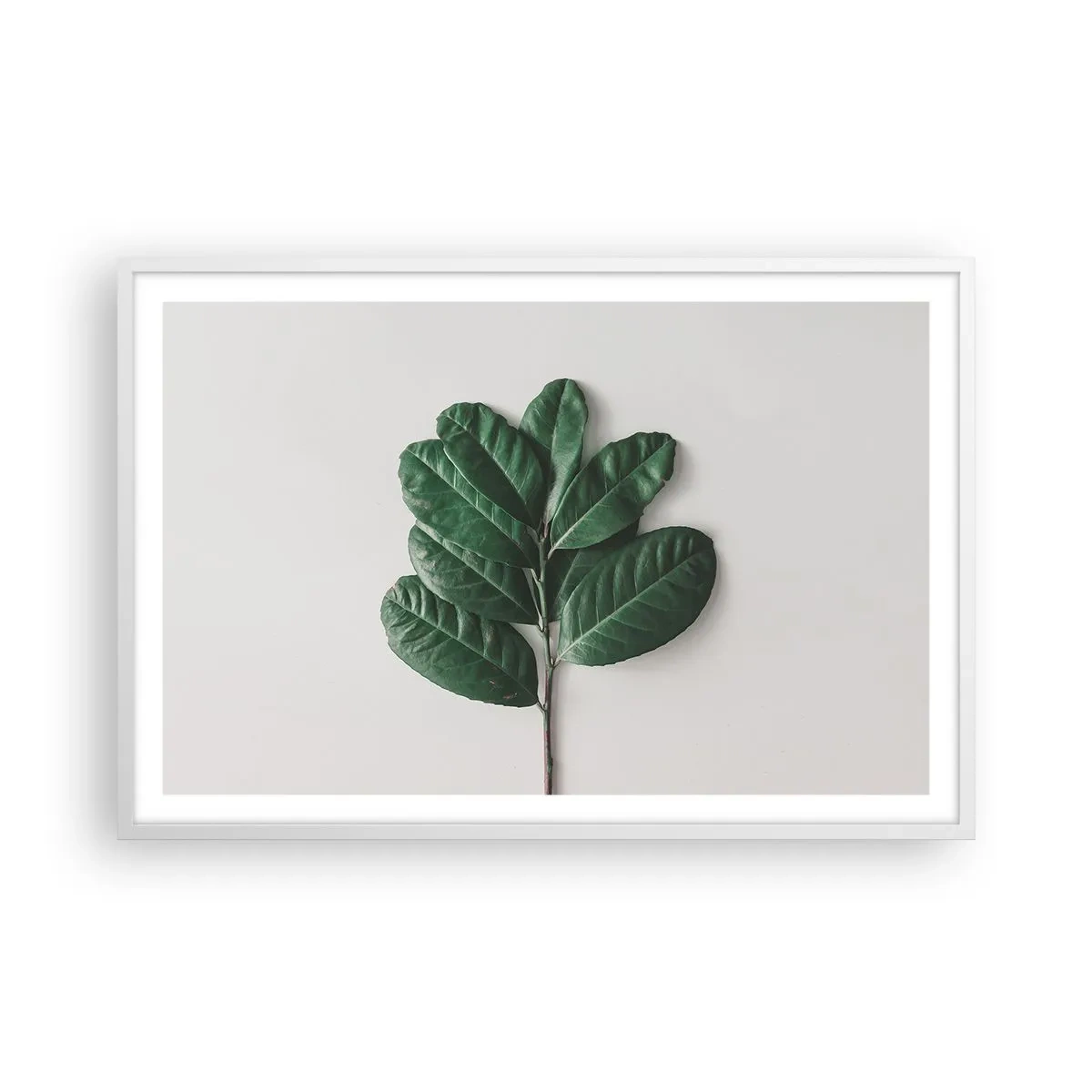 Affiche dans un cadre blanc - Poster - Dessin de la nature elle-même - 91x61 cm