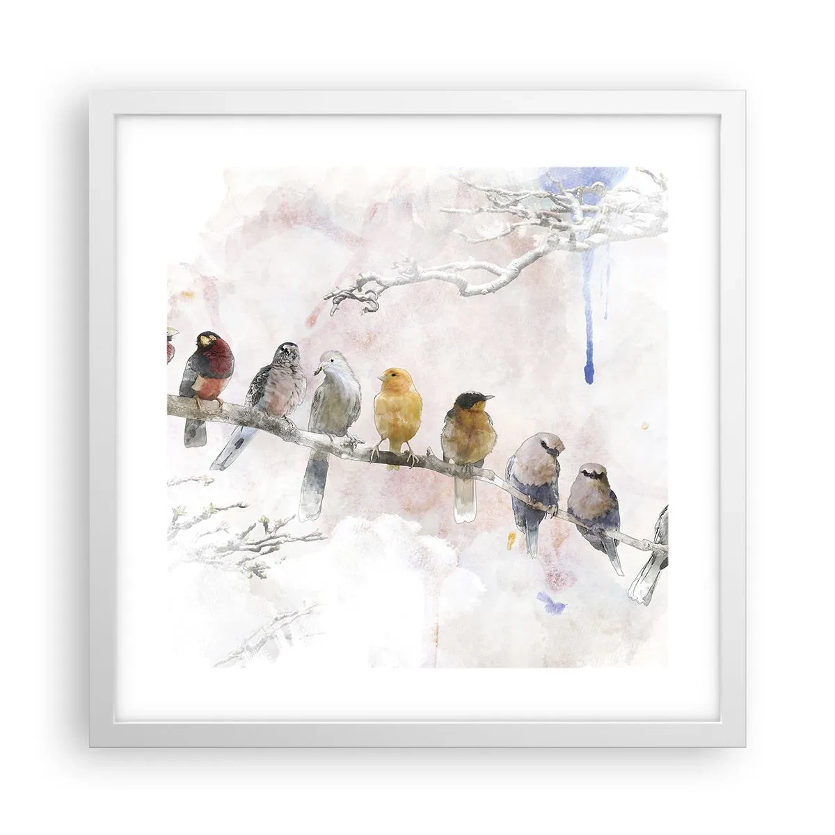 Affiche dans un cadre blanc - Poster - Rencontre ailée - 40x40 cm