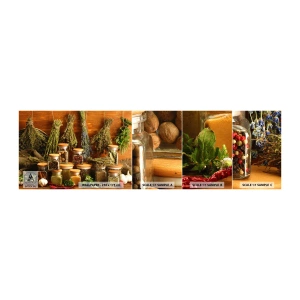 Échantillon de Papier Peint Autocollant Deluxe Sticker - Sortilèges de cuisine - La gastronomie, Herbes séchées, Épices - 100x30 cm