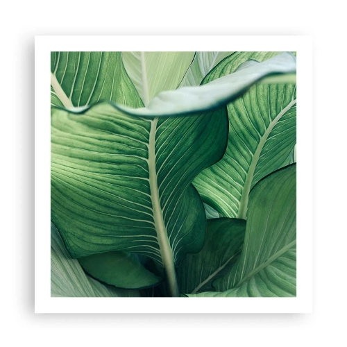 Affiche - Poster - Une vie intensément verte - 60x60 cm