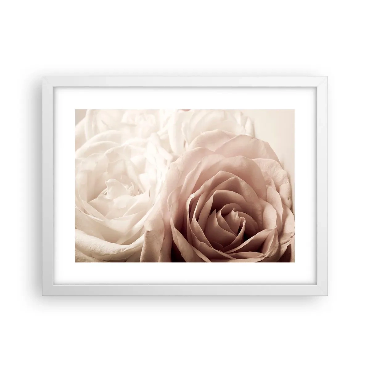 Affiche dans un cadre blanc - Poster - Au coeur d'ue la rose - 40x30 cm