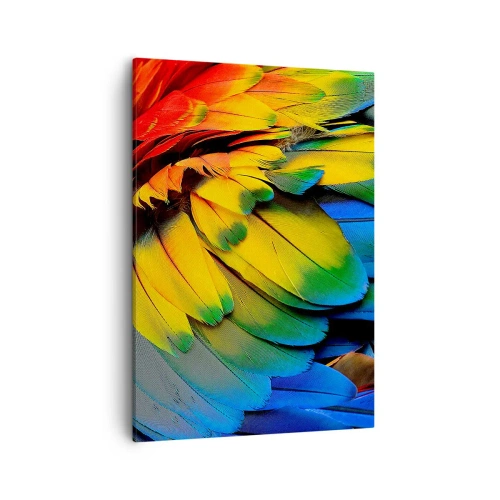 Impression sur toile - Image sur toile - Gros plan des plumes colorées d'un perroquet - 50x70cm - Oiseau de paradis - Décoration murale moderne pour le salon et la chambre ARTTOR