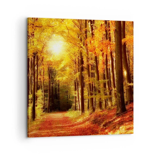 Impression sur toile - Image sur toile - Automne doré sur une route forestière - 60x60 cm