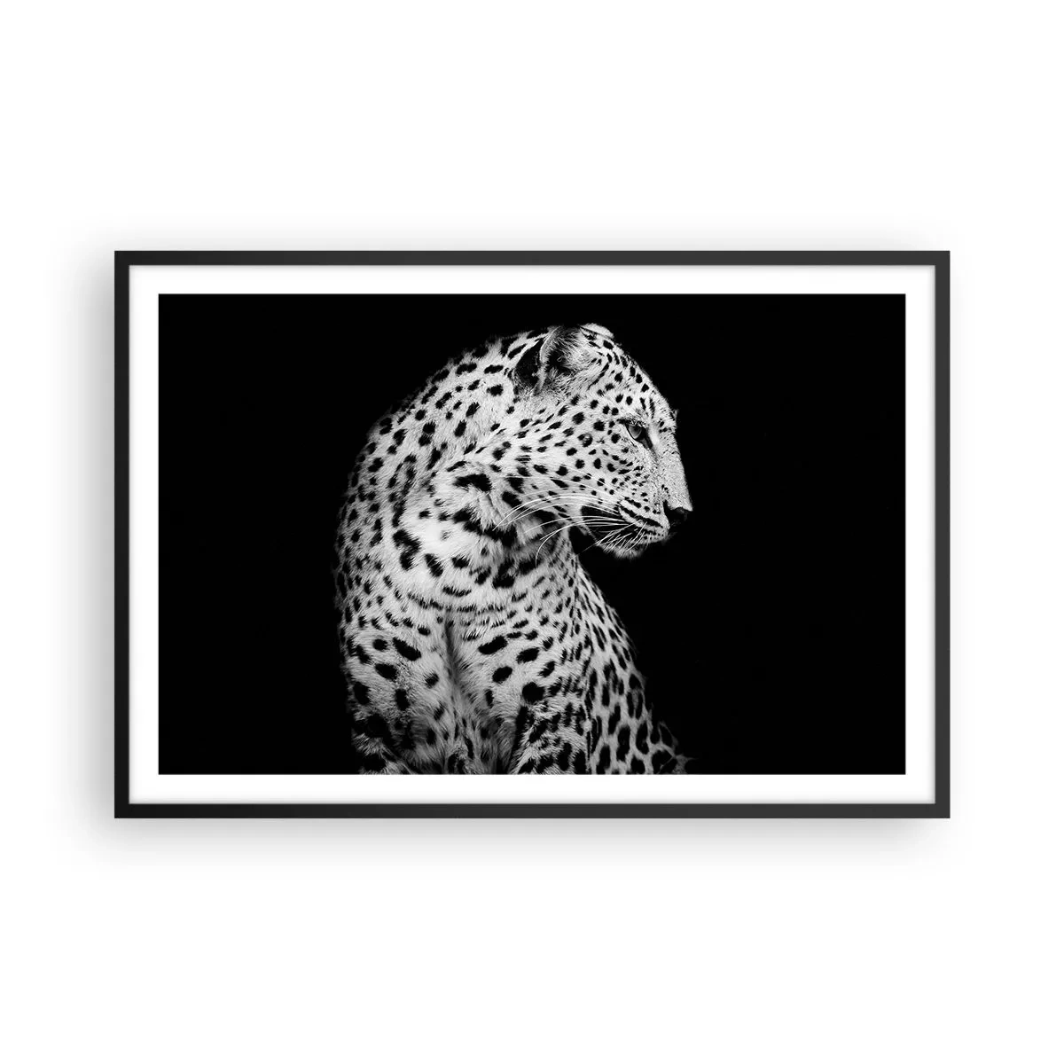 Affiche dans un cadre noir - Poster - Presque un profil parfait! - 91x61 cm