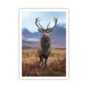 Affiche - Poster - Sur son propre terrain - 70x100 cm