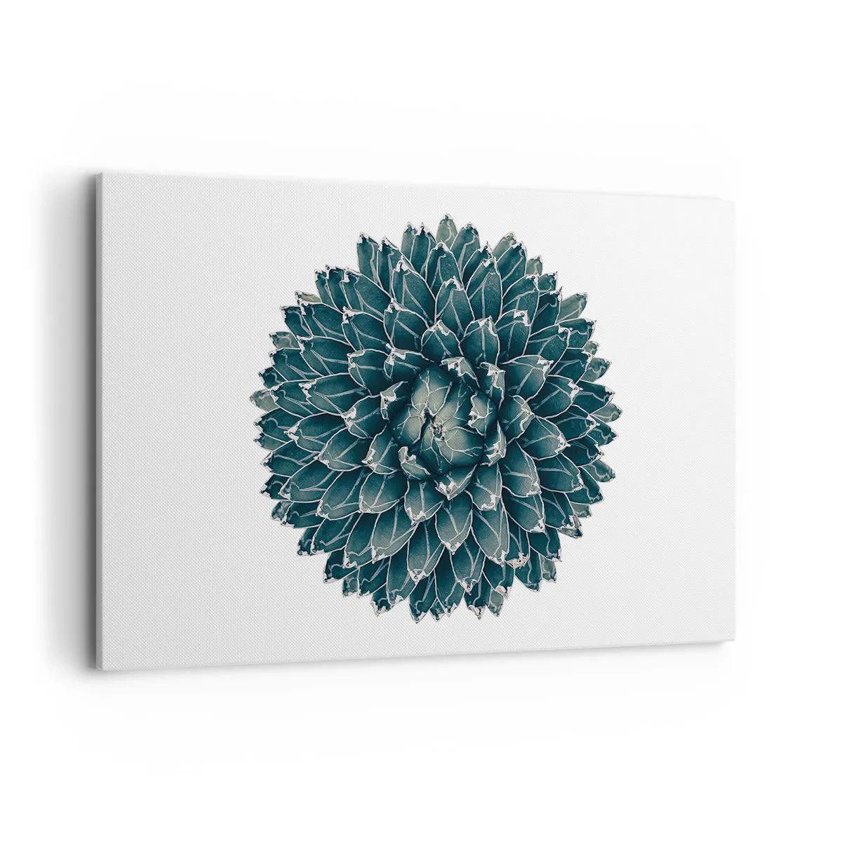 Impression sur toile - Image sur toile - Plante succulente symétrique sur fond blanc - 120x80cm - Étoile du désert - Décoration murale moderne pour le salon et la chambre ARTTOR