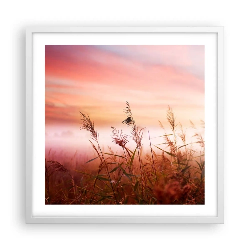 Affiche dans un cadre blanc - Poster - Cerfs-volants, pissenlits, vent - 50x50 cm