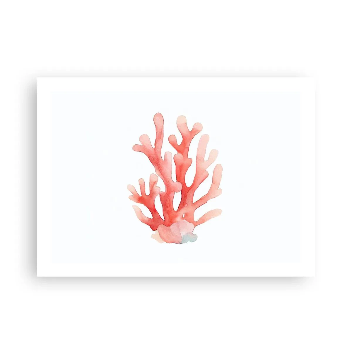 Affiche - Poster - Corail couleur corail - 70x50 cm