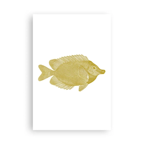 Affiche - Poster - Du poisson et c'est tout - 61x91 cm