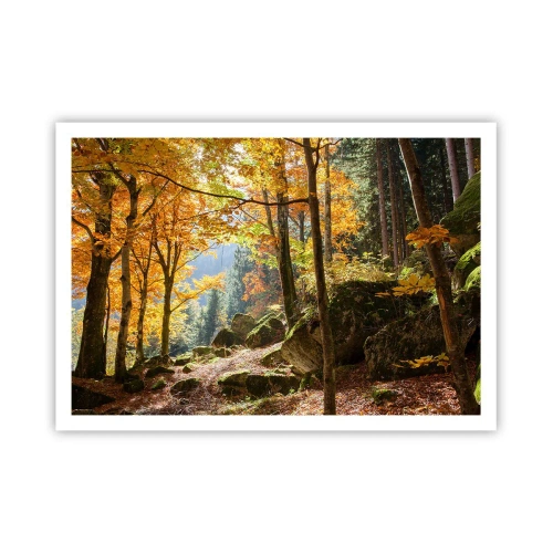 Affiche - Poster - Une forêt d'automne pleine de feuilles dorées et de soleil - 100x70cm - Il est temps de se détendre - Décoration murale moderne pour le salon et la chambre ARTTOR