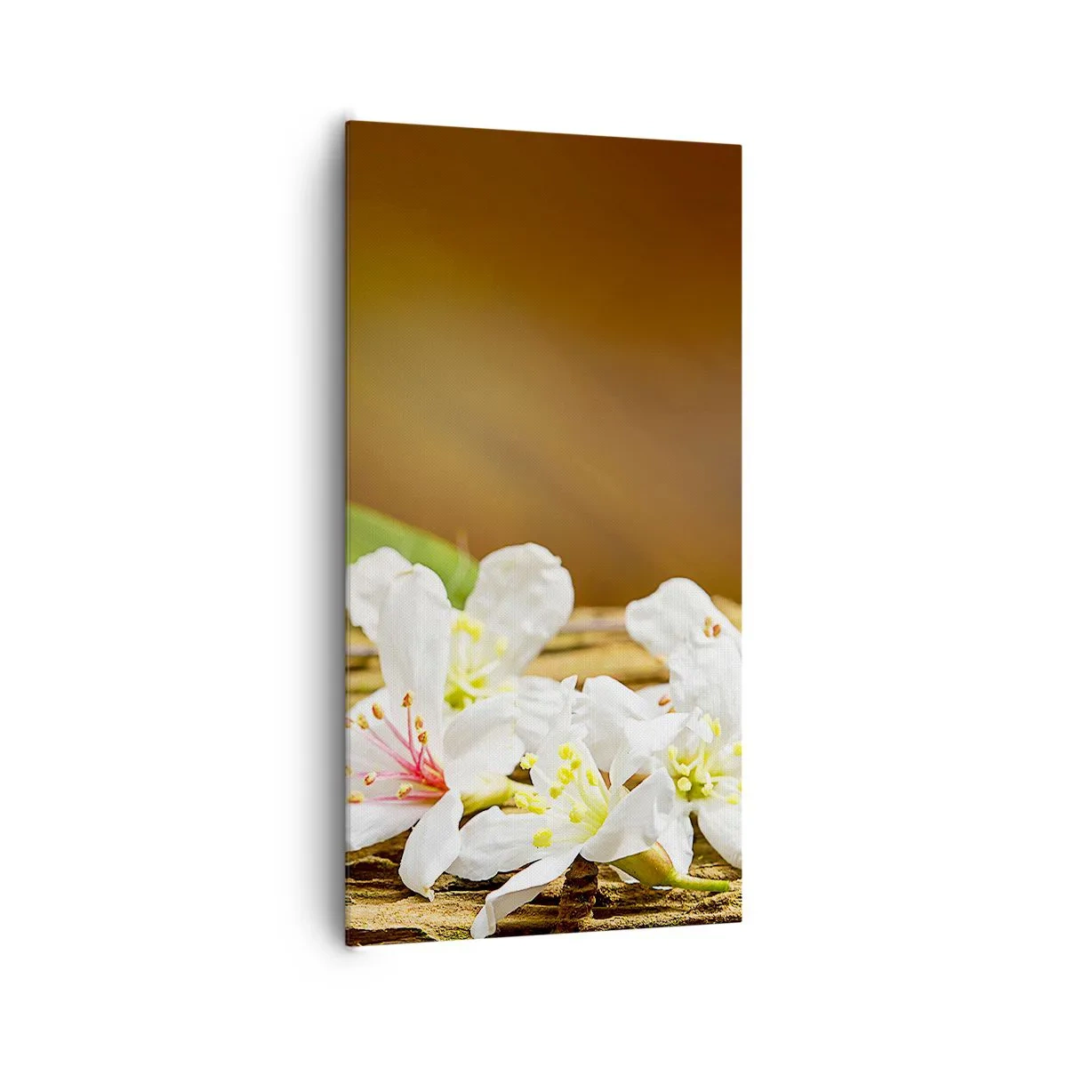 Impression sur toile - Image sur toile - Une promesse innocente - 65x120 cm