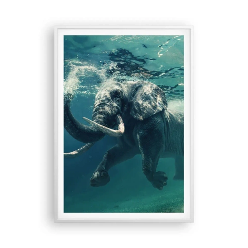 Affiche dans un cadre blanc - Poster - Tout le monde aime nager - 70x100 cm