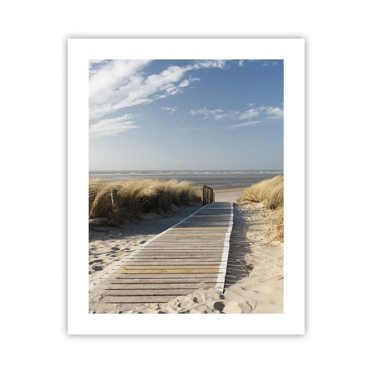 Affiche - Poster - Derrière la dune, dans le bruissement de l'herbe - 40x50 cm