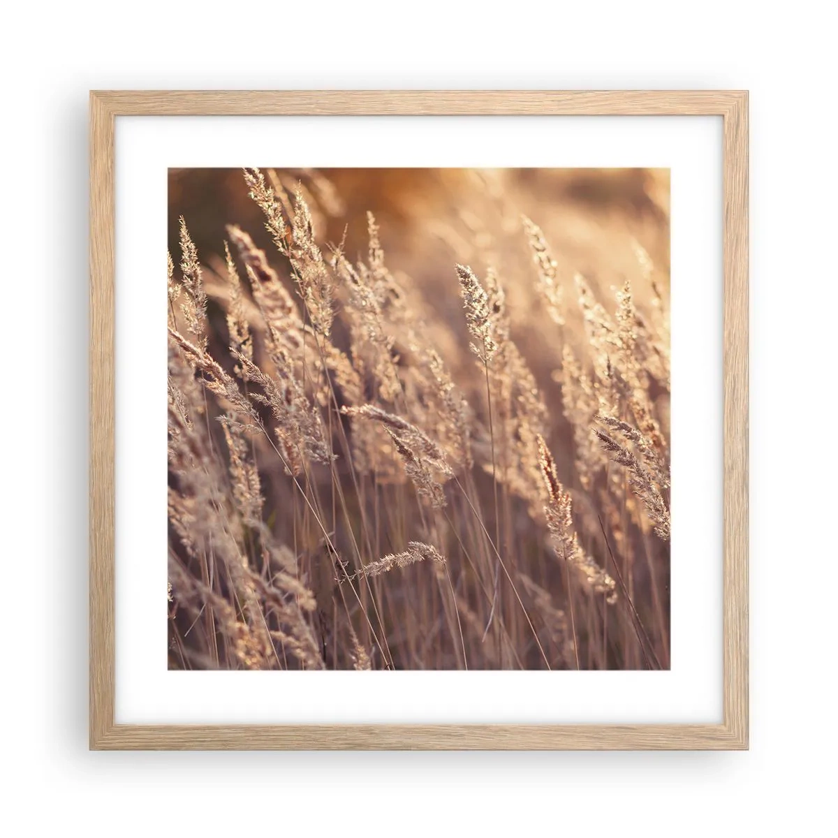 Affiche dans un chêne clair - Poster - Prêt à accueillir l'automne - 40x40 cm