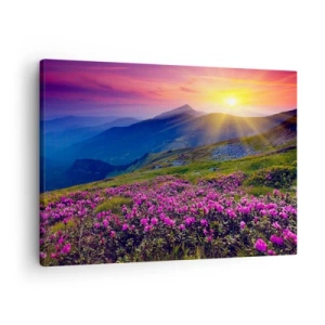 Impression sur toile - Image sur toile - Une prairie fleurie avec vue sur les montagnes au coucher du soleil - 70x50cm - … Et autour, ça sent le pin des montagnes et l'odeur de la prairie - Décoration murale moderne pour le salon et la chambre ARTTOR