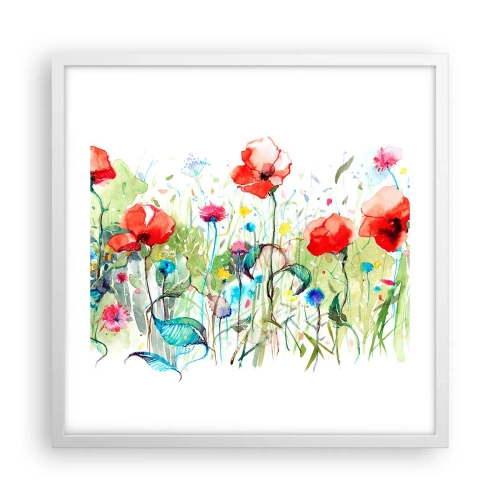 Affiche dans un cadre blanc - Poster - Prairie de fleurs en mai - 50x50 cm