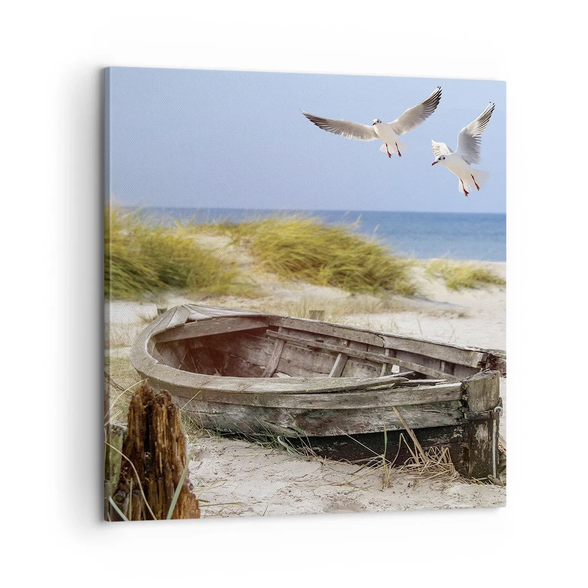 Impression sur toile - Image sur toile - Bain de vent - 60x60 cm