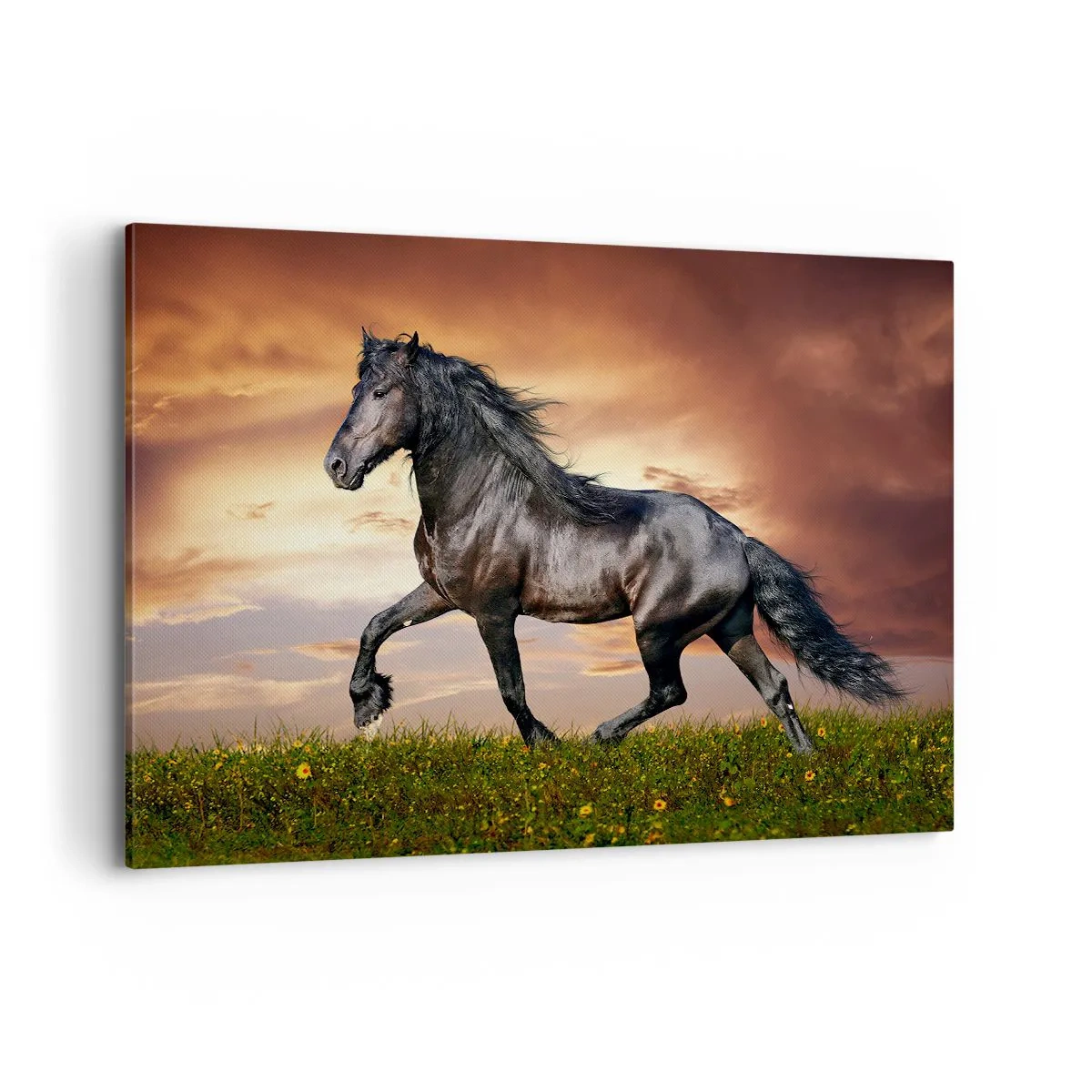 Impression sur toile - Image sur toile - Un cheval noir galopant contre le soleil couchant - 120x80cm - Livres noirs - Décoration murale moderne pour le salon et la chambre ARTTOR