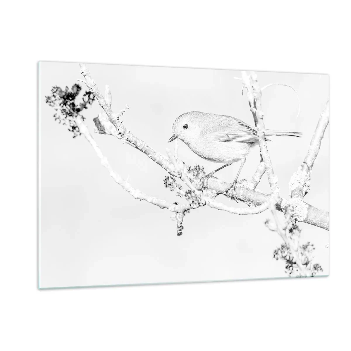Impression sur verre - Image sur verre - Un oiseau perché sur une branche dans une scène hivernale monochrome. - 120x80cm - Matin d'hiver - Décoration murale moderne pour le salon et la chambre ARTTOR