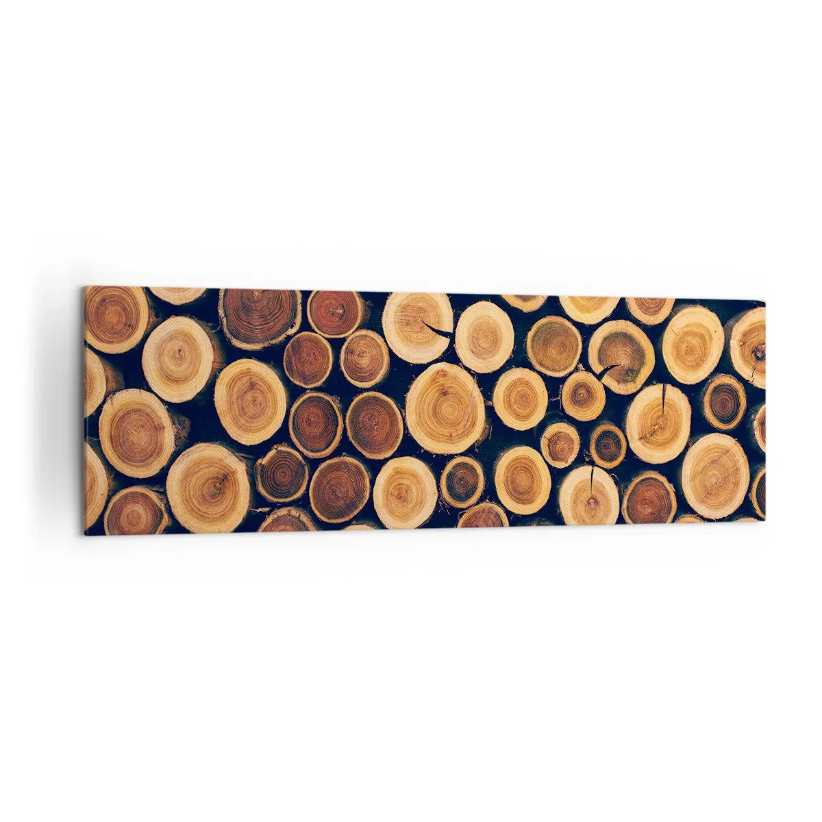 Impression sur toile - Image sur toile - Modèle réalisé à partir de sections transversales de bûches de bois - 160x50cm - Quel âge je semble avoir ? - Décoration murale moderne pour le salon et la chambre ARTTOR