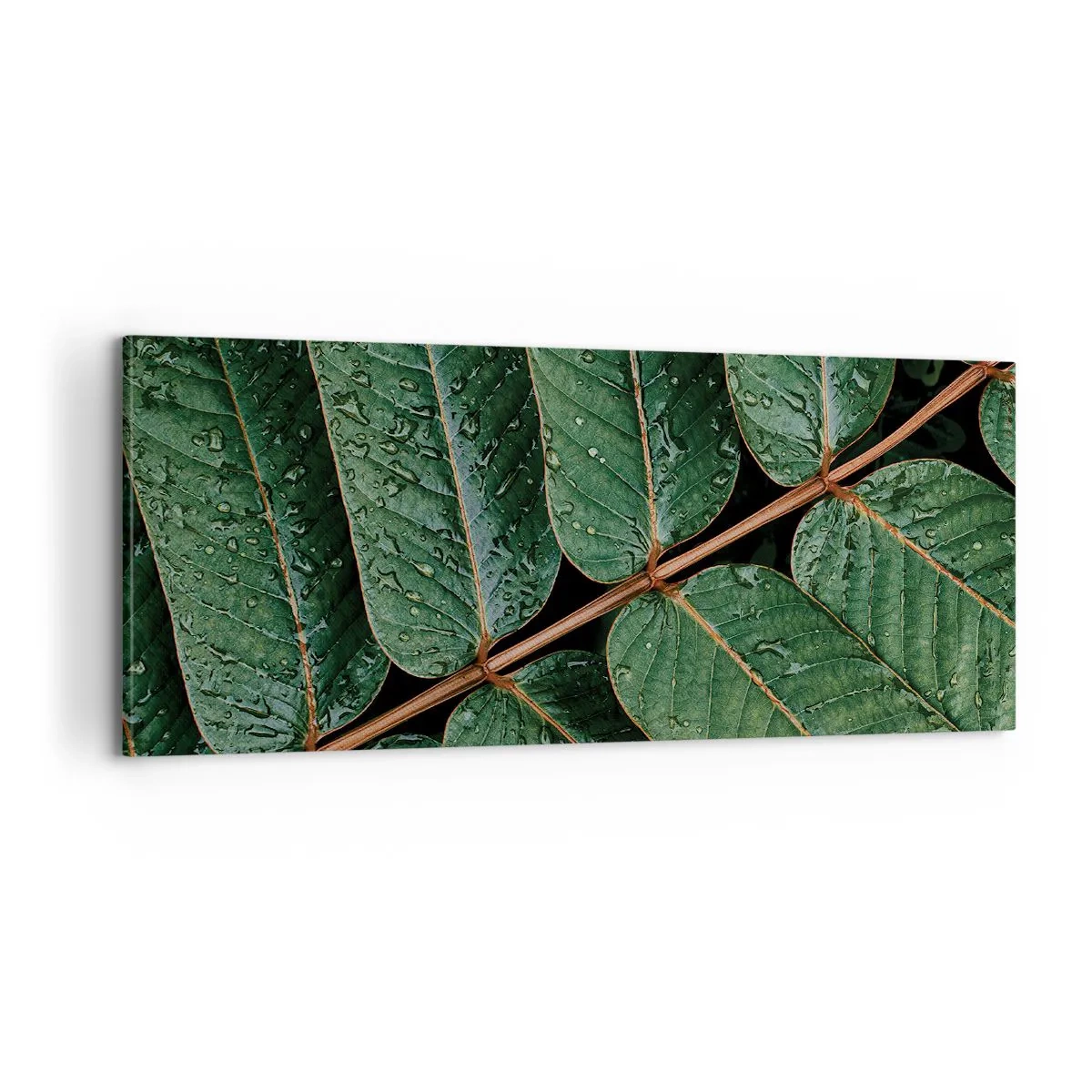Impression sur toile - Image sur toile - Au rythme de la verdure - 100x40 cm