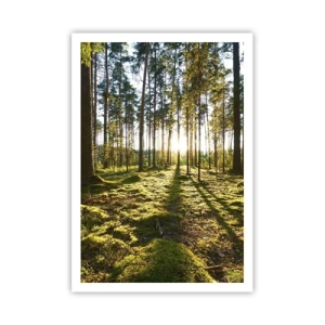 Affiche - Poster - … Derrière les sept forêts - 70x100 cm